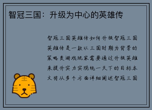 智冠三国：升级为中心的英雄传